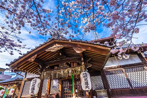 Travel Note Of Kyoto For Cherry Blossoms Part 4 Takenaka Inari Shrine