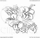 Hibiscus Flower Tattoo Bouquet Flowers Clipart Outline Drawing Tropical Illustration Hawaiian Royalty Lei Stencil Loopyland Rf Designs Clip Outlines Getdrawings sketch template
