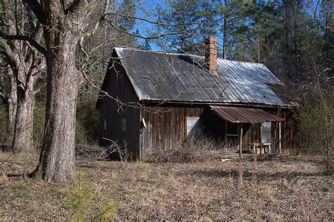 Maybe you would like to learn more about one of these? Washington Count GA Old Hunting Cabin Pecan Trees ...