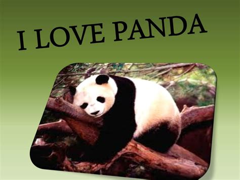 Ppt Panda Powerpoint Presentation Free Download Id1928558