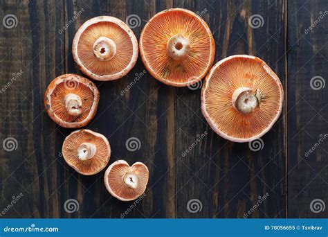 Edible Orange Mushrooms Saffron Milk Cap Top View Stock Image