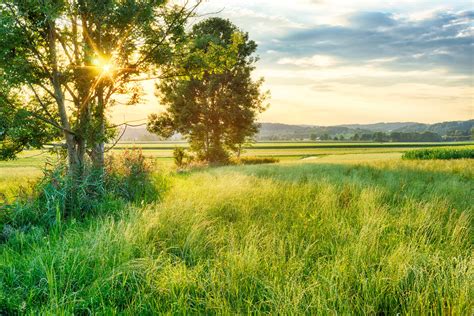 Foto Gratis Puesta De Sol En El Verde Paisaje De Campo Para Descargar