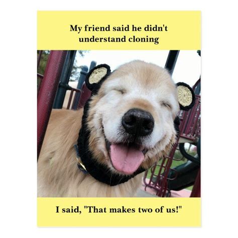 Funny Golden Retriever Tortilla Joke Meme Postcard Funny