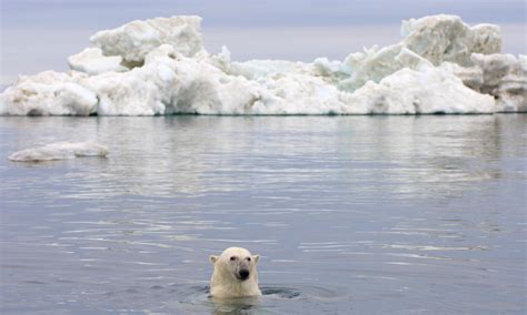 How Big Is The Arctic Ocean And Eight Other Arctic Facts