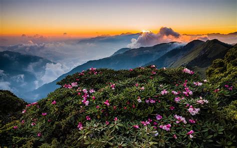 Taiwan Mountain Asia Spring Sunset Hd Wallpaper Peakpx