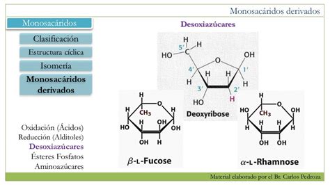 Estructura Del Carbohidrato