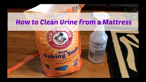 Your mattress now needs time to dry out thoroughly. How to Clean Urine From a Mattress - YouTube