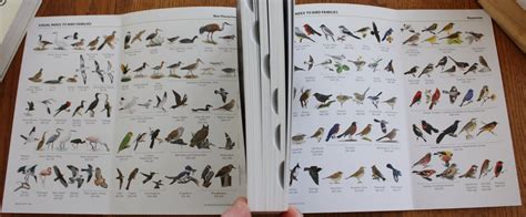 Review National Geographic Field Guide To The Birds Of North America