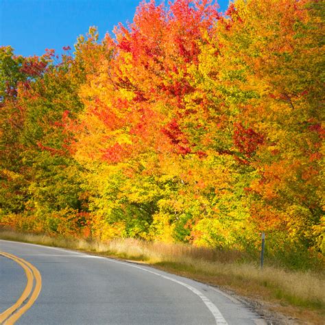 Fall In New England Free Stock Photo Public Domain Pictures