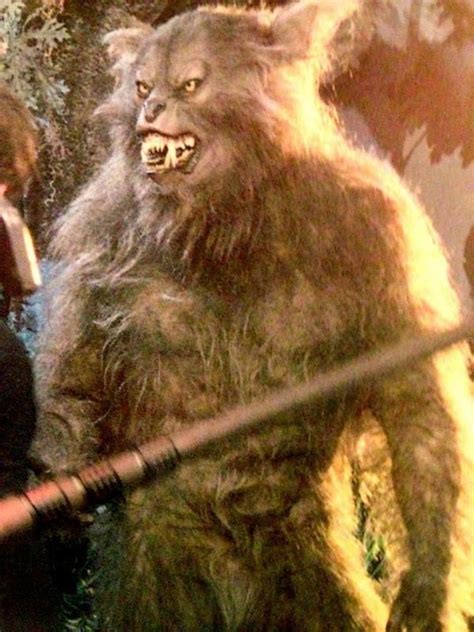 From The Movie Cursed Werewolf Animals Bear