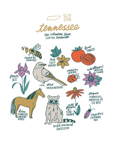 Tennessee State Symbols