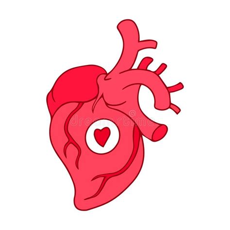 Cartoon Human Heart Symbol Sign Vector Illustration Stock Vector