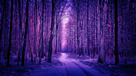 Winters Purple Forest