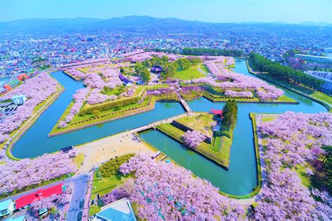 [Hokkaido] Hokkaido Hakodate 2D1N Cherry blossoms Bus tour from Sapporo