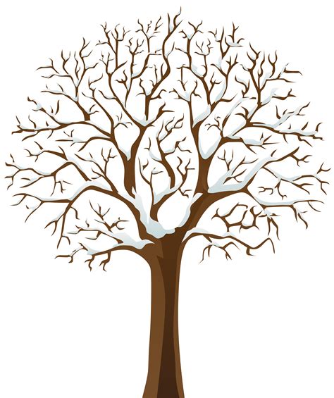 Snowy Winter Tree Transparent Png Image Clipart Best Clipart Best