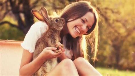 ¿es Bueno O Malo Tener Un Conejo De Mascota ⚡️ Respuestastips