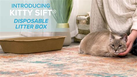 Kitty Sift Disposable Litter Box Base