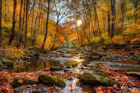 Autumn Landscape Autumn Trees Landscape Photo Fall Etsy