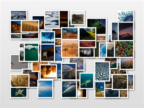 All you need to do is stack the images or video you want to collage on the sceen and add this effect to each clip. Free Photo Grid & Collage Maker for Mac OS X & Windows ...