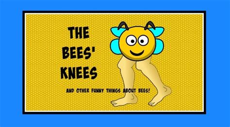 The Bees Knees And Other Funny Things About Bees 101 Jokes