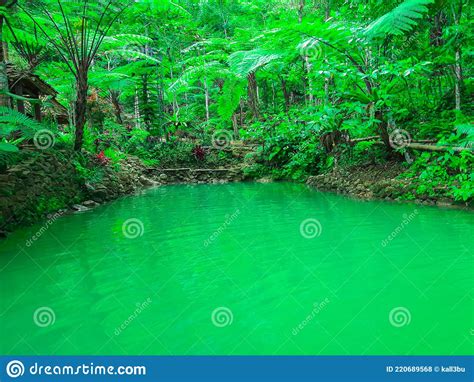 A Natural Green Turquoise Swimming Pond In A Rainforest On Java