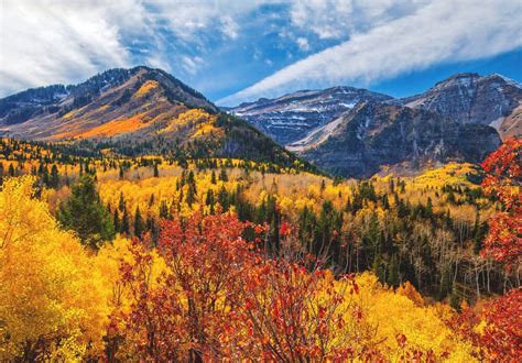 Experience Fall In Utah Near Altasnowbird Canyon Services