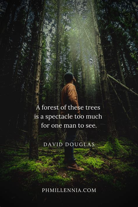 199 Wonderful And Inspiring Quotes On Woods And Forests Artofit