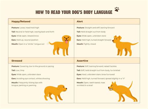 How To Understand Dog Body Language Rawz