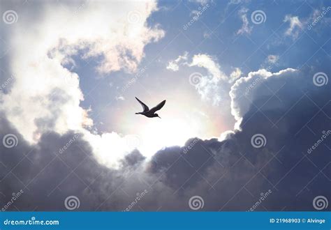 Fly To Heaven Stock Photos Image 21968903