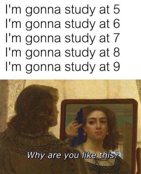 Top 27 Funny Memes About Studying Funny Study Quotes Studying Memes