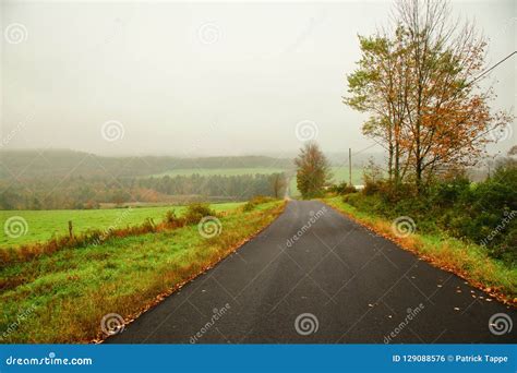 Foggy Country Road Stock Photo Image Of Skies Living 129088576