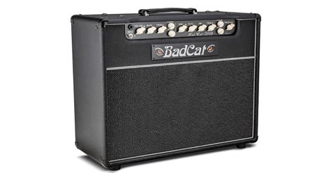 Bad Cat Hot Cat 30 Reverb Usa Player Series 30w 1x12 Valve Guitar Amp