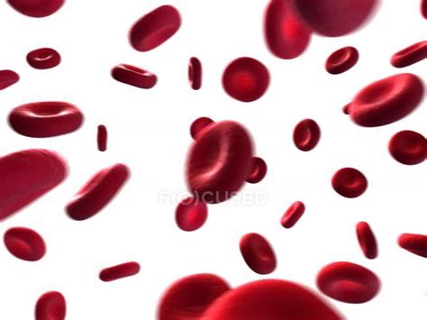 Red Blood Cells — Anatomical Blood Vessel Stock Photo 160226330