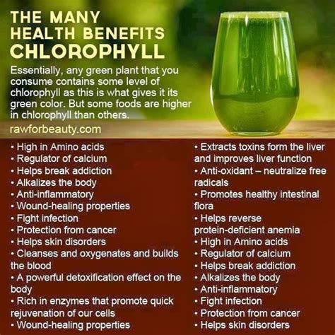 Health Benefits Of Chlorophyll