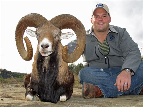 Star S Ranch 3 Day Texas Mouflon Sheep Ram Hunt For One Hunter And One
