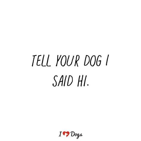 Tell Your Dog I Said Hi Dog Meme Dog Inspirational Dog Quotes