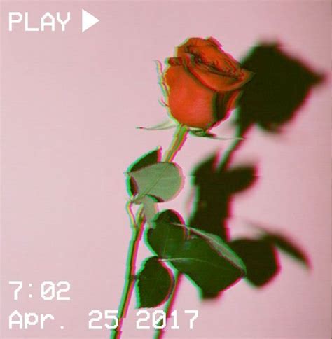 🌹 ♥ Glitch Aesthetic Roses Aesthetic Wallpaper Iphone Pastel Red