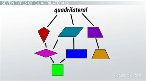 What Is The Hierarchy Of Quadrilaterals Video And Lesson Transcript