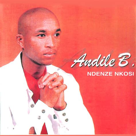 Ndenze Nkosi Album By Andile B Spotify