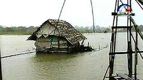 Ratusan Hektare Sawah Dan Tambak Terendam Air News