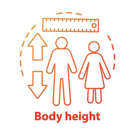 Body Height Monitoring Concept Icon Checking Body Growth With