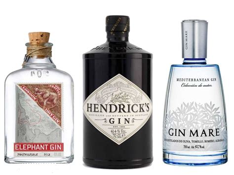15 Best Gins Tried And Tested Hendricks Gin Gin Brands Best Gin