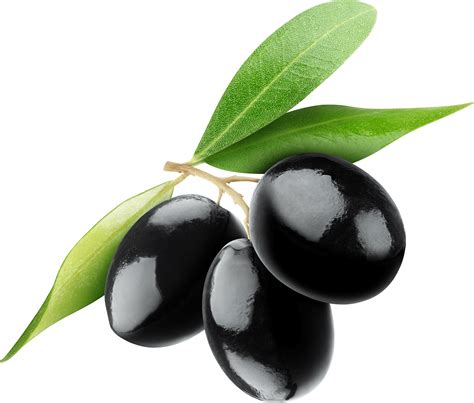 Black Olives Trio Olive Black Olive Fruit