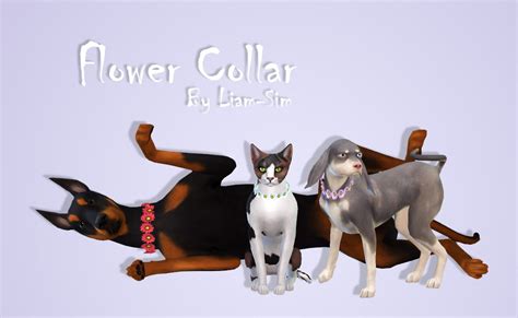 Liam Sim Flower Collar Some Cuteness For Your Pets Download Sfs