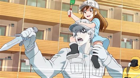 Platelet And White Blood Cell Cells At Work Hataraku Saibou K