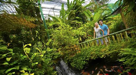 The kuala lumpur butterfly park is situated near the lake gardens. Kuala Lumpur Butterfly Park - ZeoTrip