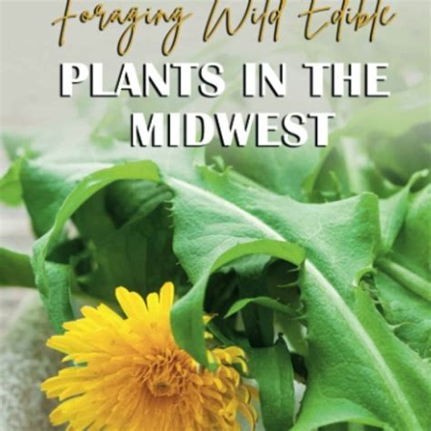 Stream Download Epub Foraging Wild Edible Plants In The Midwest