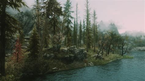 Dark Forest Of Skyrim Se Beyond Reach At Skyrim Special Edition Nexus