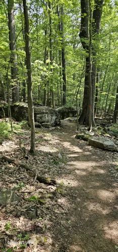 Best Hikes And Trails In Deep Creek Lake State Park Alltrails