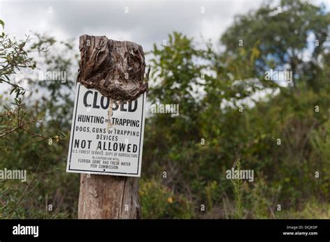 Ocala Florida National Forest No Hunting Trapping Overgrown Posted